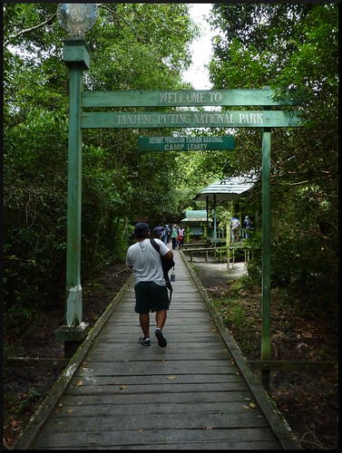 Indonesia en 2 semanas: orangutanes, templos y tradiciones - Blogs de Indonesia - Parque Nacional Tanjung Puting (45)