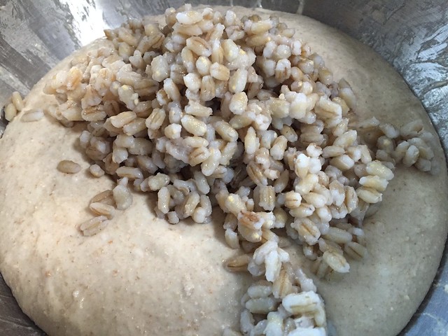 Mixing fermented barley porridge