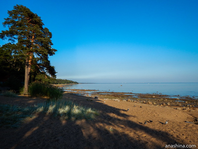Балтийский берег в Зеленогорске