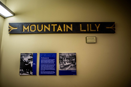 Mountain Lily Exhibit-001