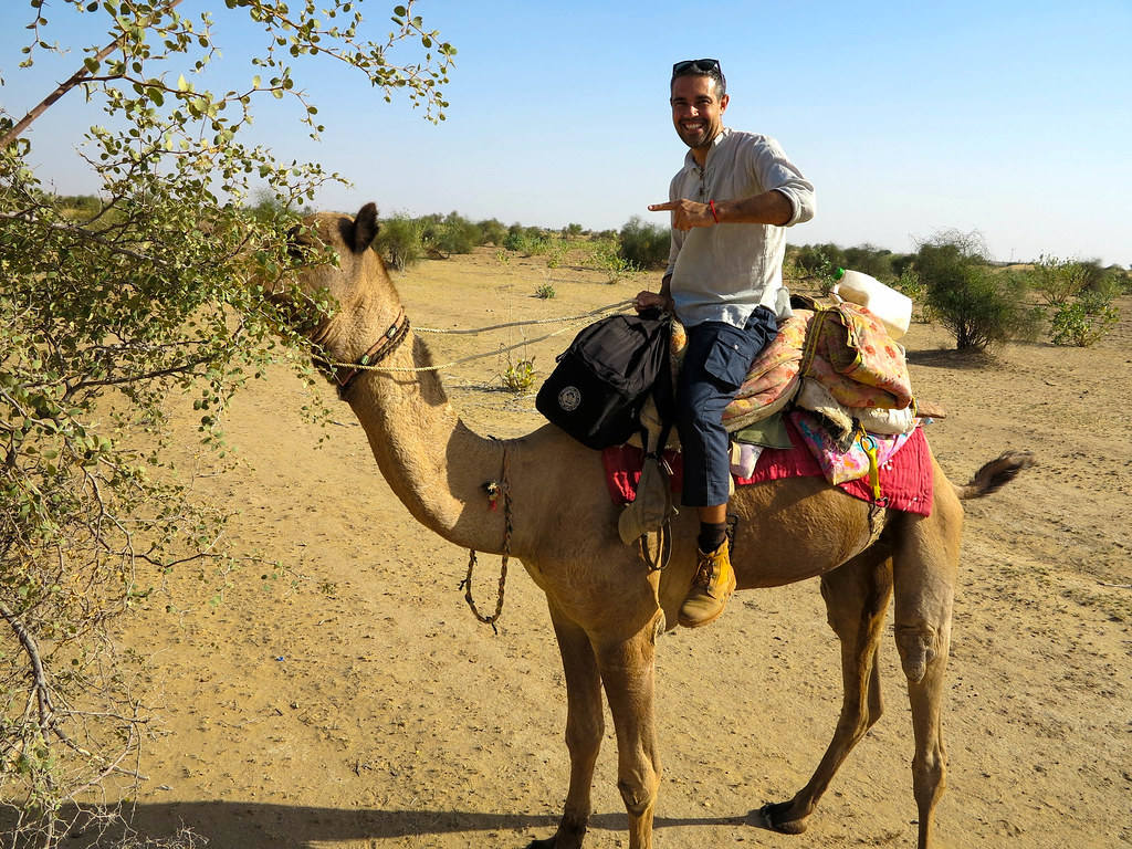 Paseo en camello en Rajastán