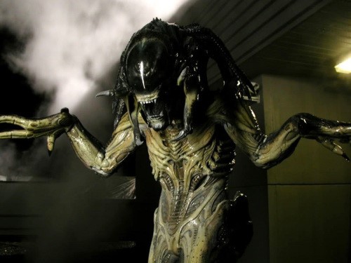 Aliens vs. Predator - Requiem - Predalien