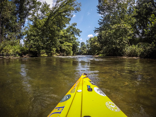 French Broad River - Rosman to Island Ford-52