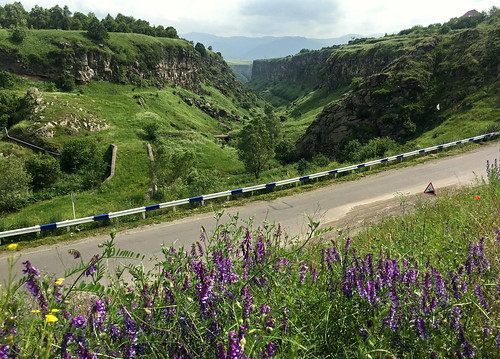 armenia caucuses mountain wildflower flowers field nature hillside meadow composition macro yellow road highway roadtrip travel purpleflowers
