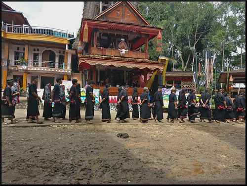 Sulawesi, descubriendo las tradiciones Tana Toraja - Indonesia en 2 semanas: orangutanes, templos y tradiciones (33)