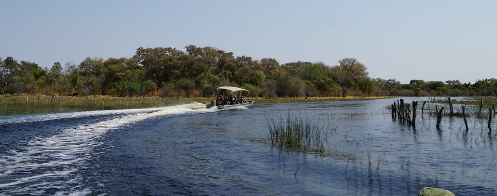 Del Kalahari al delta del Okavango, el corazón de Botswana - BOTSWANA, ZIMBABWE Y CATARATAS VICTORIA: Tras la Senda de los Elefantes (14)