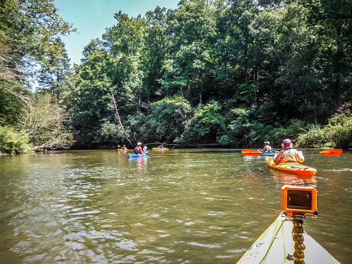French Broad River - Rosman to Island Ford-176