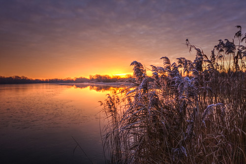 canon6d sunrise sun morning dawn lake water reflection reeds sky clouds colour outdoors nature uk cambridgeshire