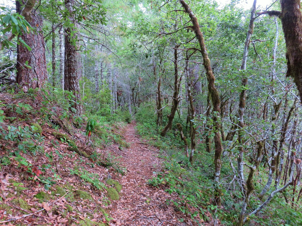 Barklow Mountain Trail
