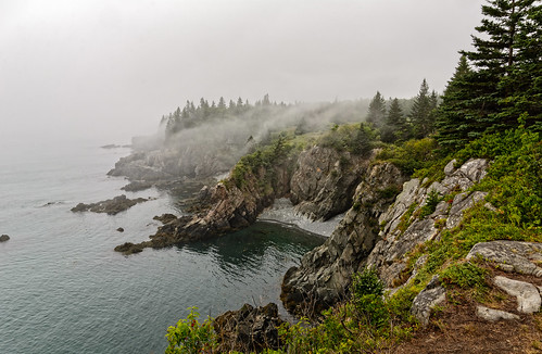 land object weather cliff coast fog rock cutler me unitedstates