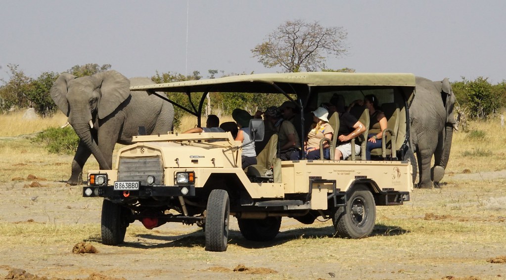 De Moremi a Savuti, entre jirafas y elefantes - BOTSWANA, ZIMBABWE Y CATARATAS VICTORIA: Tras la Senda de los Elefantes (28)