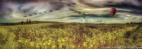 colorefexpro dermandarapp formulasapp neatimage niksharpenerpro3 on1effects on1resize snapseedapp colors countryscape distressedfxapp environment europe field floweryfield hotairballoon iphoneart iphone iphoneography italy landscape lightroom location object panorama panoramica plugin red umbria castiglionedellago provinciadiperugia italia it