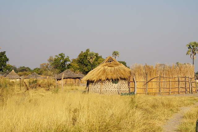 Delta del Okavango: safari a pie y paseos en mokoro, emoción y relax en Botswana - BOTSWANA, ZIMBABWE Y CATARATAS VICTORIA: Tras la Senda de los Elefantes (20)