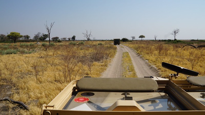 De Moremi a Savuti, entre jirafas y elefantes - BOTSWANA, ZIMBABWE Y CATARATAS VICTORIA: Tras la Senda de los Elefantes (17)