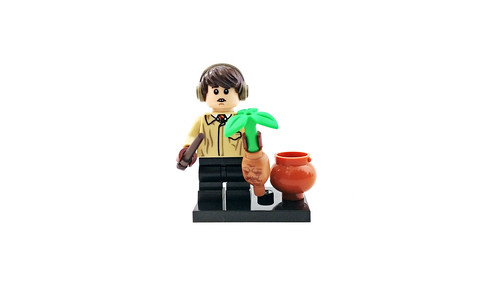 LEGO Harry Potter and Fantastic Beasts Collectible Minifigures (71022) - Neville Longbottom