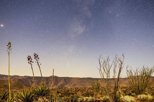 desert anzaborrego anzaborregodesertstatepark sky agave ocotillo julian california unitedstates us
