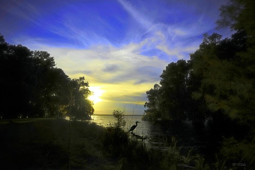 work4u newnanslake sky sunset lake heron