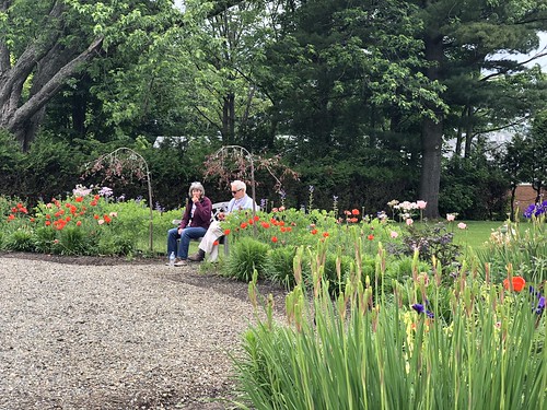 Stainstead - garden with Linda and Colin