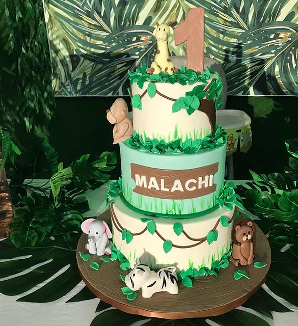 Jungle Themed Cake from Cakes by Gina