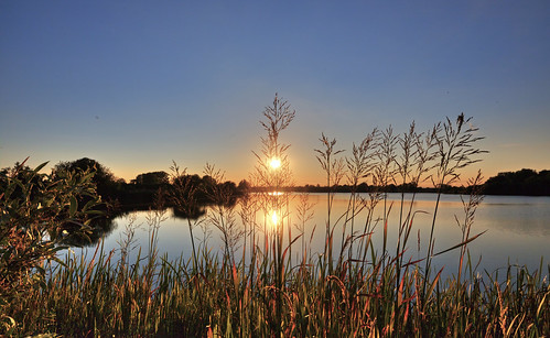 canon6d sunset water lake reeds grasses sun reflection sky blue uk cambridgeshire outdoors nature