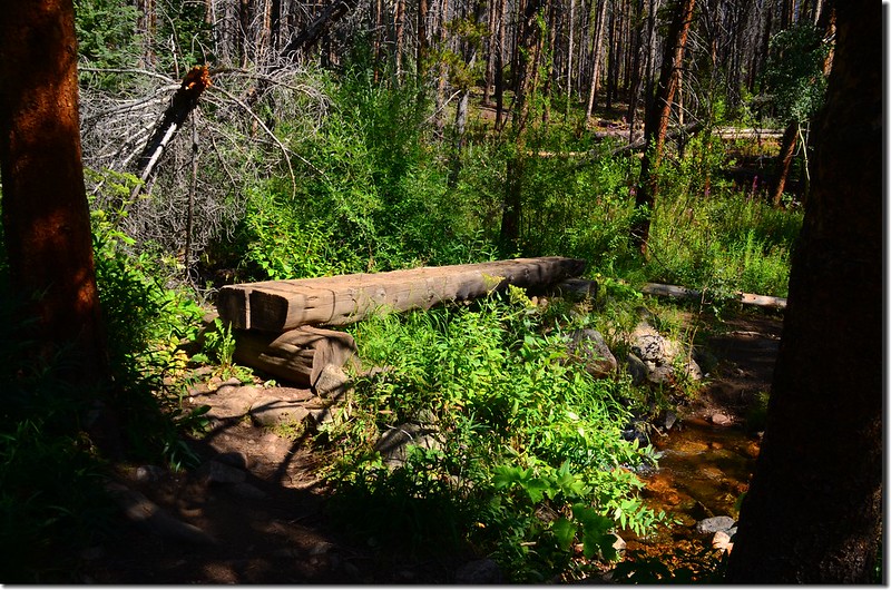 Crossing log bridge at Meadow Creek (1)