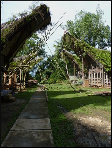 Sulawesi, descubriendo las tradiciones Tana Toraja - Indonesia en 2 semanas: orangutanes, templos y tradiciones (22)