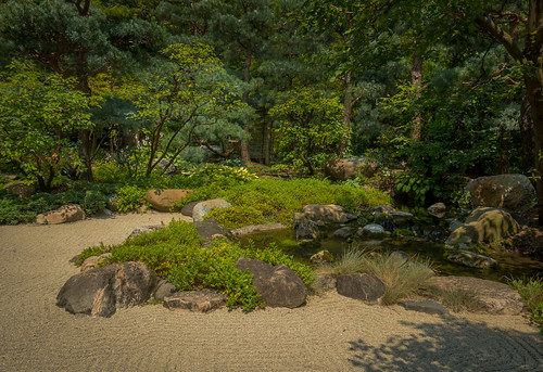 green andersonjapanesegarden japanesegarden sunday walk sun summer park garden hot