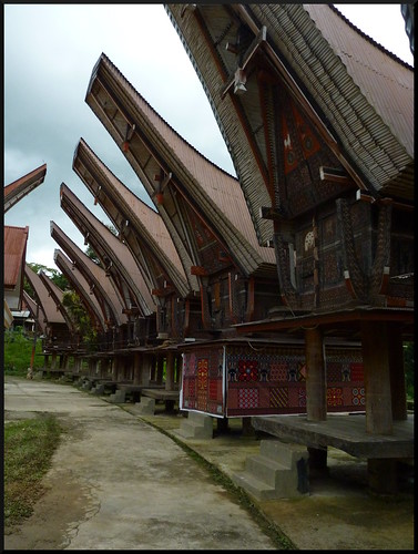 Sulawesi, descubriendo las tradiciones Tana Toraja - Indonesia en 2 semanas: orangutanes, templos y tradiciones (41)