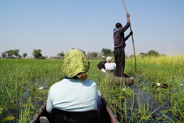 Delta del Okavango: safari a pie y paseos en mokoro, emoción y relax en Botswana - BOTSWANA, ZIMBABWE Y CATARATAS VICTORIA: Tras la Senda de los Elefantes (15)