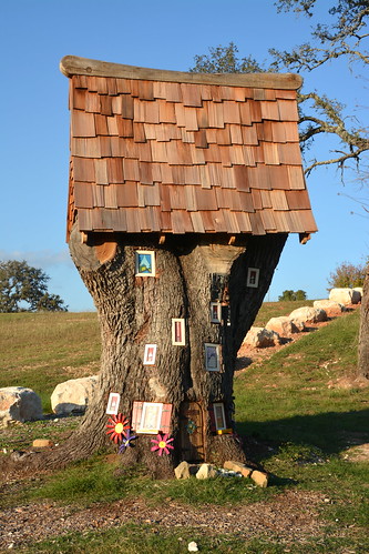 house tree