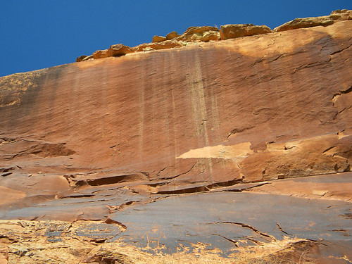 Petroglyphs in Mesa Verde National Park, Colorado