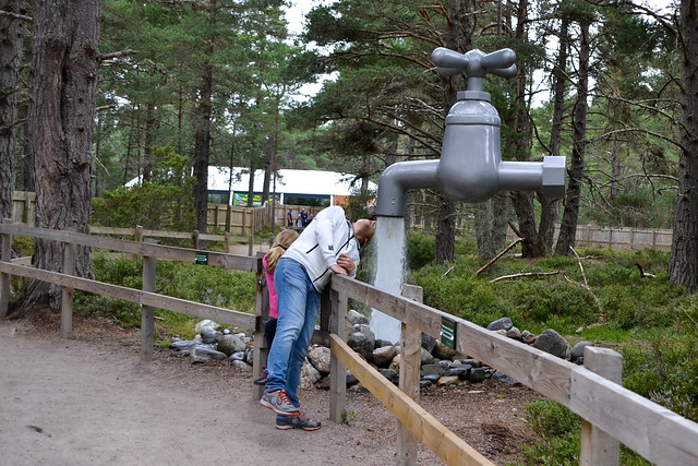 Etapa 9. Landmarkpark - 10 días de ruta por Escocia con niña de 7 años (4)