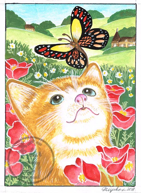 Orange cat with a butterfly and poppies in the countryside