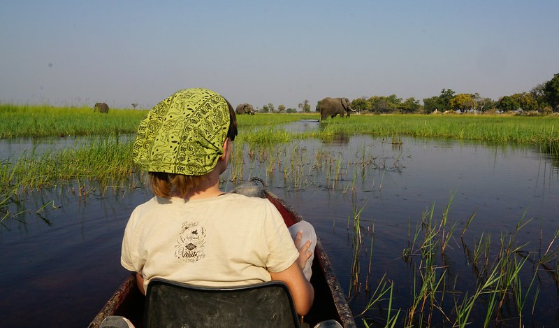 Delta del Okavango: safari a pie y paseos en mokoro, emoción y relax en Botswana - BOTSWANA, ZIMBABWE Y CATARATAS VICTORIA: Tras la Senda de los Elefantes (17)