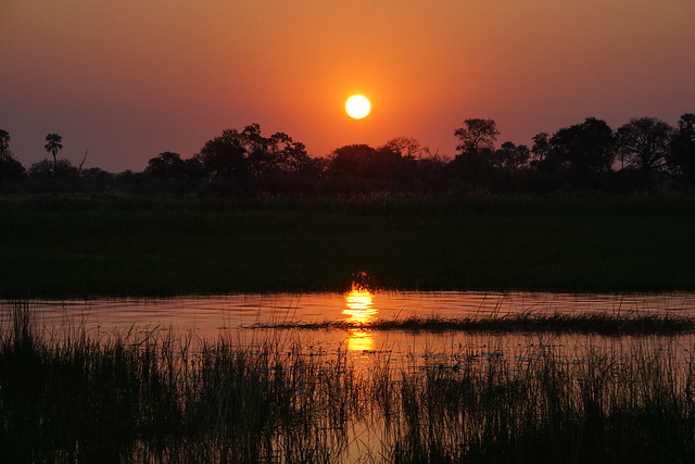 Del Kalahari al delta del Okavango, el corazón de Botswana - BOTSWANA, ZIMBABWE Y CATARATAS VICTORIA: Tras la Senda de los Elefantes (32)