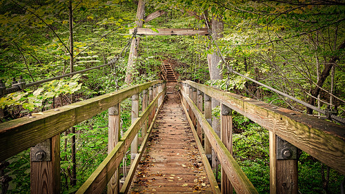 chicopeewoods gainesville georgia unitedstates us bridge suspensionbridge elacheenaturecenter hallcounty forest landscape