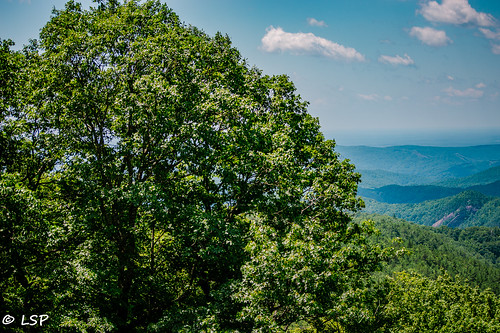northcarolina mountains green beautiful beauty natural nature travel vacation june summer waterfall trees grass park statepark gorgesstatepark sapphire cashiers sunday family fun water hiking hike forest rocks plants path clouds