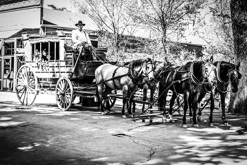 sitting hat d850 livestock landscape candid oldtown street people carriage blackwhite monochrome quiet horse california posing columbia unitedstates us