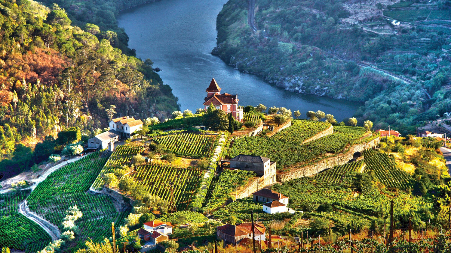 Douro Valley, Portugal