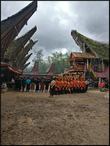 Preparación del viaje a Indonesia - Indonesia en 2 semanas: orangutanes, templos y tradiciones (3)