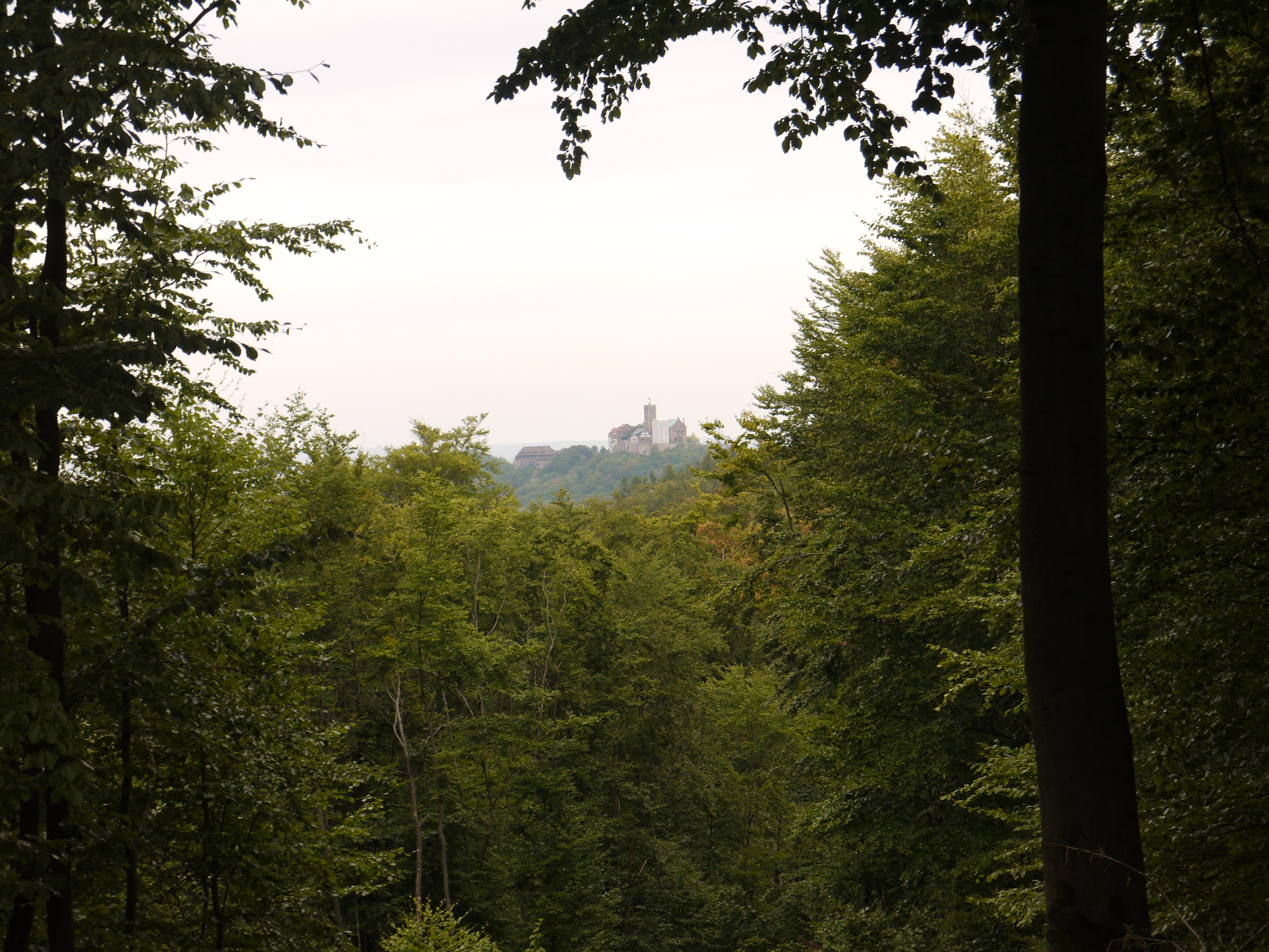 Тюрингенский лес в Германии