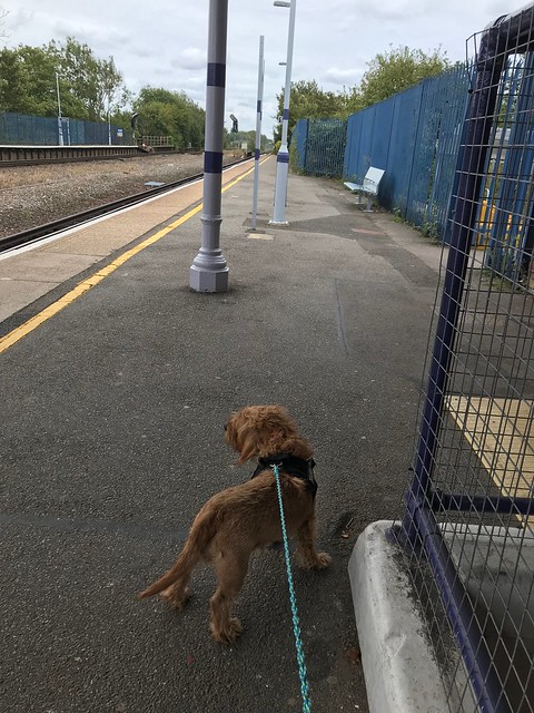 Waiting for the slow train to London