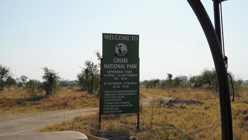 De Moremi a Savuti, entre jirafas y elefantes - BOTSWANA, ZIMBABWE Y CATARATAS VICTORIA: Tras la Senda de los Elefantes (10)
