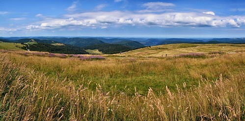 vosges routedescrêtes france summer panorama pse2018 stitched walkers hiking balade popular tourism