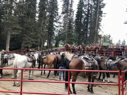 Brewster stable corrals at Lake Louise