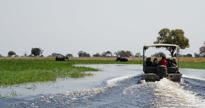 Del Kalahari al delta del Okavango, el corazón de Botswana - BOTSWANA, ZIMBABWE Y CATARATAS VICTORIA: Tras la Senda de los Elefantes (4)