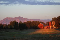 Dawn Light of A Boulder Farm