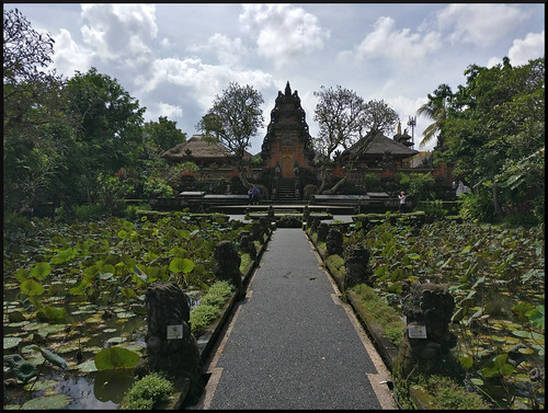 Indonesia en 2 semanas: orangutanes, templos y tradiciones - Blogs de Indonesia - Bali: campos de arroz, templos y danzas tradicionales (182)
