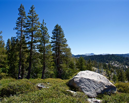 californiastatehighway88 mountains trees roadtrip california sierranevada highsierra