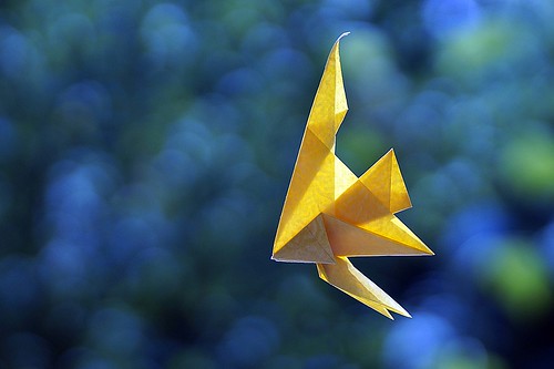 Origami Angelfish (Takuro Kashiwamura)